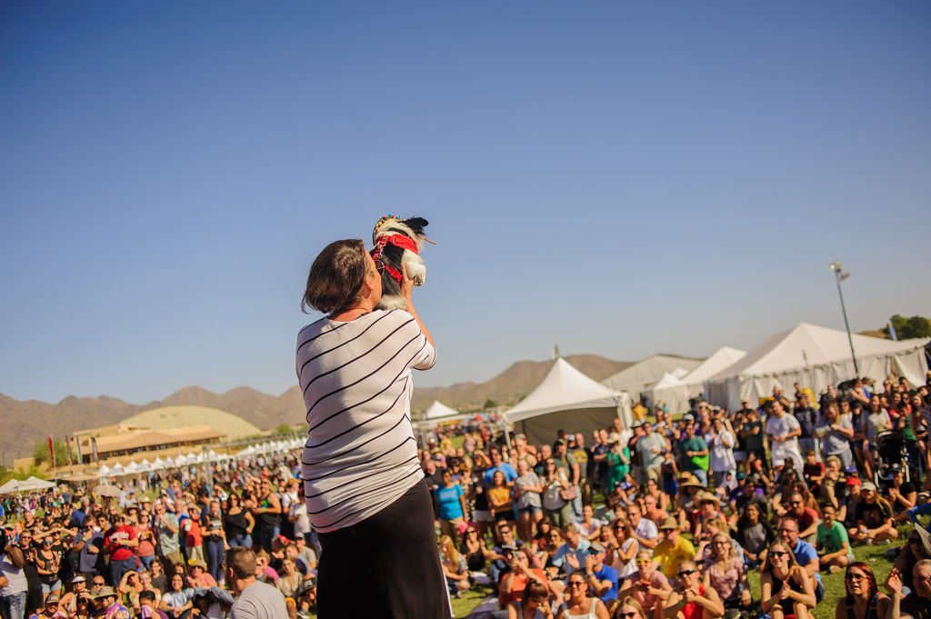 TACOFEST19SATURDAY-243.jpg