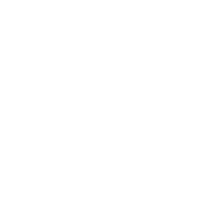 THE WILEY ONES