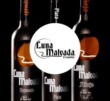 Luna Malvada